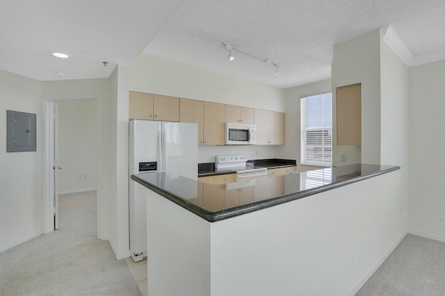616 Clearwater Park Rd Unit 812, West Palm Beach, FL 33401 - kitchen with white appliances, electric panel, light colored carpet, light brown cabinets, and a textured ceiling