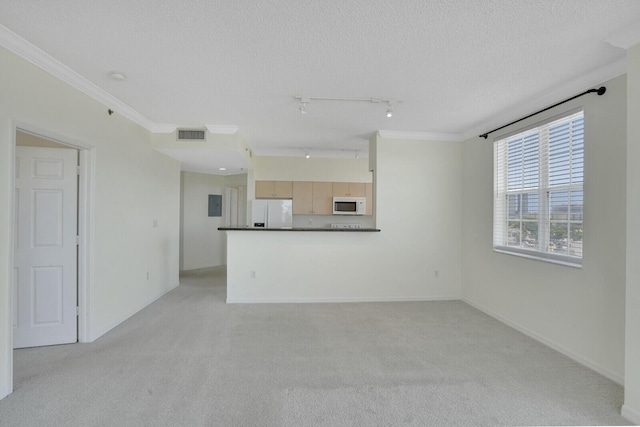 616 Clearwater Park Rd Unit 812, West Palm Beach, FL 33401 - unfurnished living room featuring light colored carpet, crown molding, electric panel, track lighting, and a textured ceiling