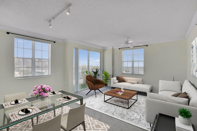 616 Clearwater Park Rd Unit 812, West Palm Beach, FL 33401 - living area featuring healthy amount of natural light, ceiling fan, track lighting, a textured ceiling, and carpet