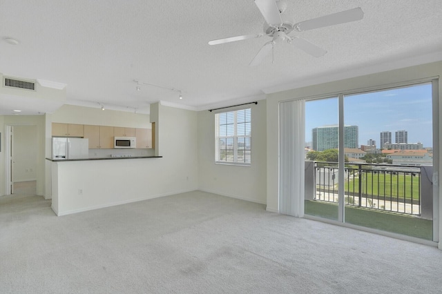 616 Clearwater Park Rd Unit 812, West Palm Beach, FL 33401 - unfurnished living room featuring light carpet, rail lighting, ceiling fan, a textured ceiling, and a city view