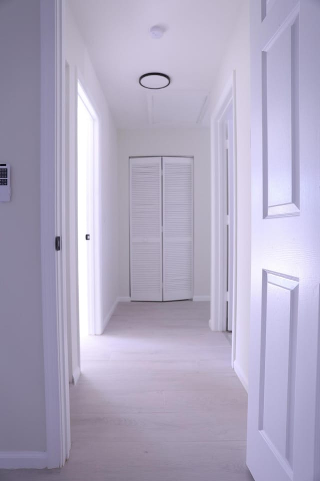 2012 White Coral Ct, Wellington, FL 33414 - hall with baseboards and light wood-type flooring