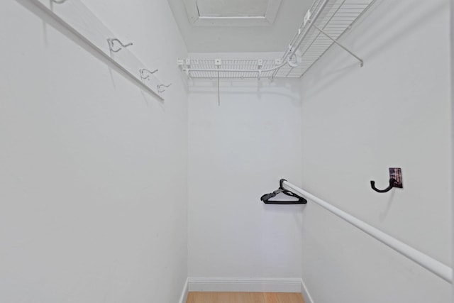 513 Curlew Rd, Delray Beach, FL 33444 - walk in closet featuring light wood-type flooring