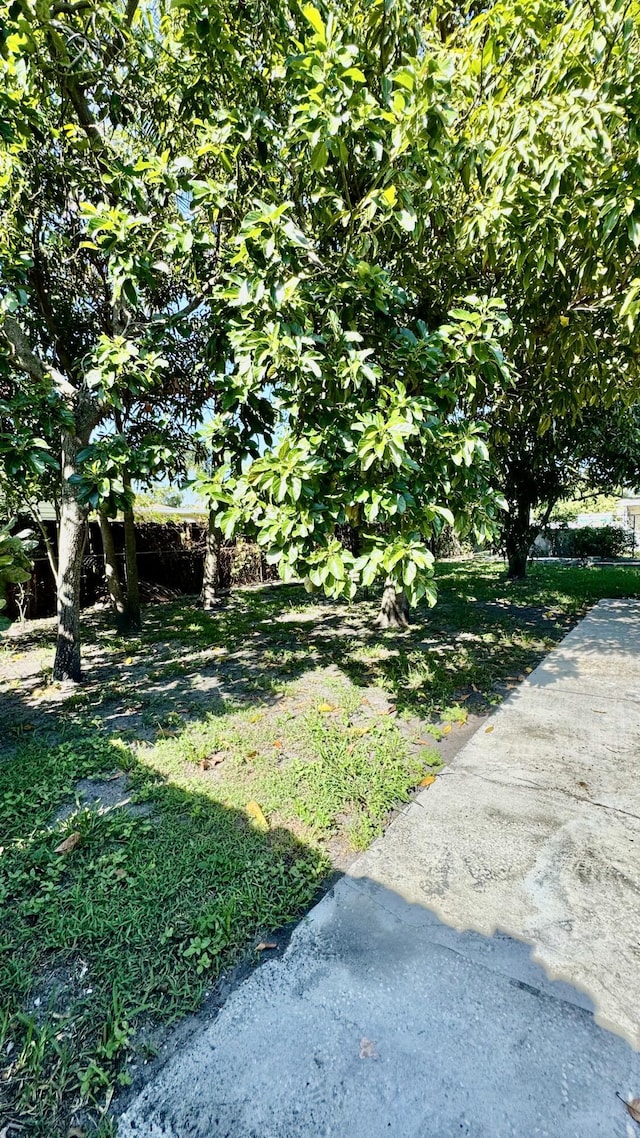 629 Troy Blvd, West Palm Beach, FL 33409 - view of yard