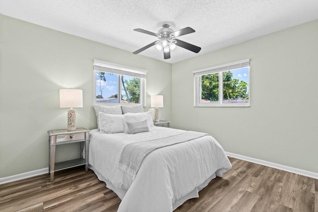 3187 Buccaneer Rd, Lake Worth, FL 33462 - bedroom with multiple windows, wood finished floors, baseboards, and a textured ceiling