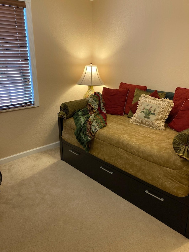 1428 W Wickham C Cir Unit C, Delray Beach, FL 33445 - bedroom with carpet flooring and baseboards