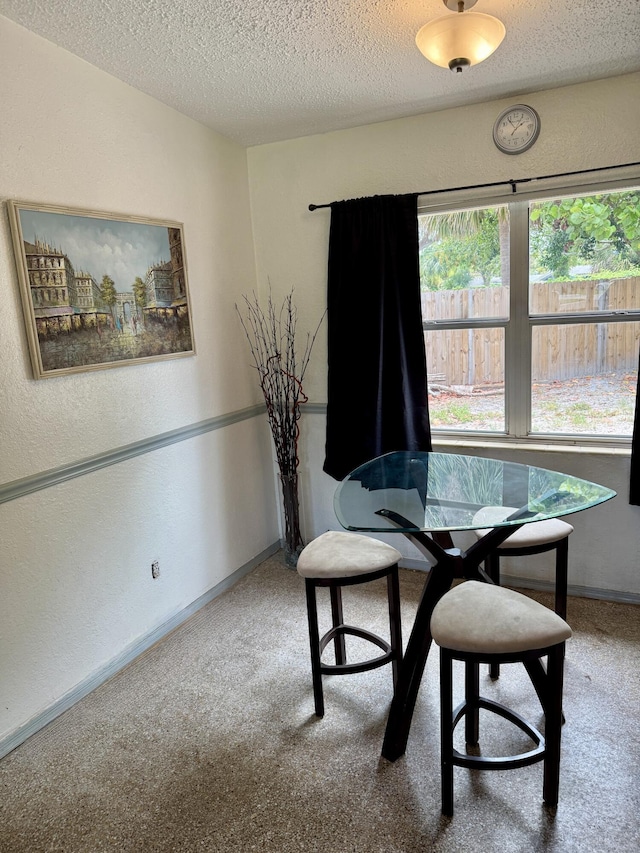 3901 Neptune Dr SE, Saint Petersburg, FL 33705 - carpeted dining area featuring a textured ceiling, baseboards, and a textured wall