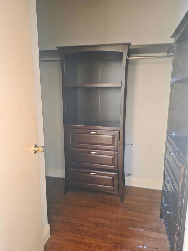 4580 Discovery Ln Unit 23, West Palm Beach, FL 33417 - walk in closet with dark wood finished floors