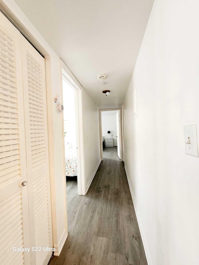 3550 NW 8th Ave Unit 604, Pompano Beach, FL 33064 - hall with wood finished floors and baseboards