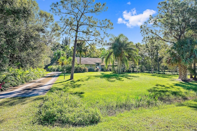 17862 123rd Ter N, Jupiter, FL 33478 - view of grassy yard featuring driveway
