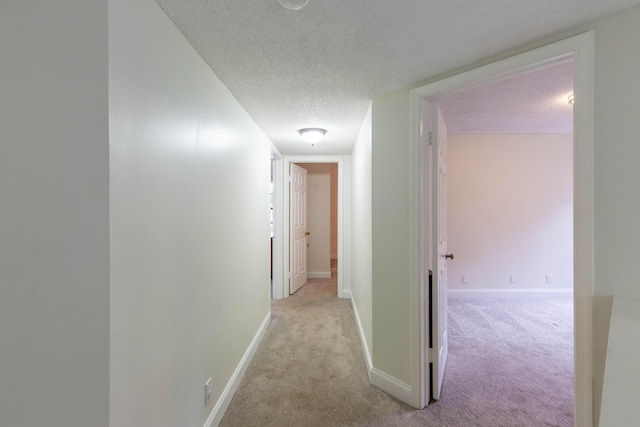 103 Weybridge C Cir Unit C, Royal Palm Beach, FL 33411 - corridor with a textured ceiling and light colored carpet