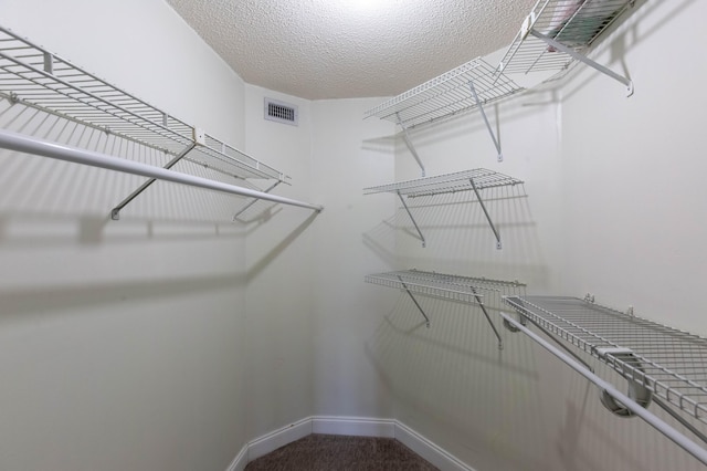103 Weybridge C Cir Unit C, Royal Palm Beach, FL 33411 - walk in closet with dark carpet