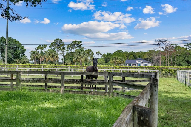3442 C Rd, Loxahatchee Groves, FL 33470 - view of yard