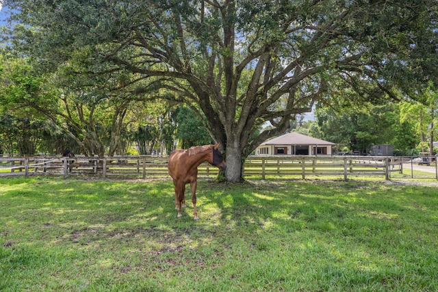 3442 C Rd, Loxahatchee Groves, FL 33470 - view of yard with a view of rural / pastoral area