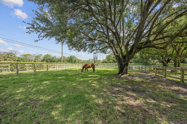3442 C Rd, Loxahatchee Groves, FL 33470 - view of yard featuring a rural view