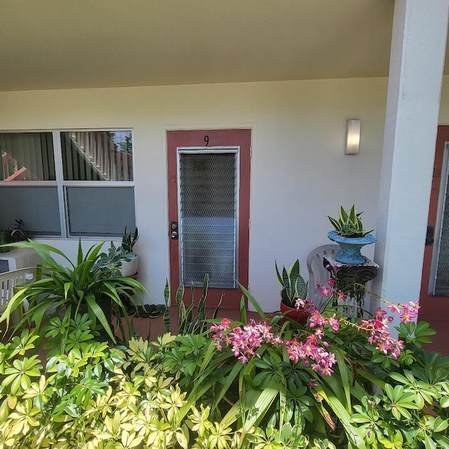 9 Ventnor A, Deerfield Beach, FL 33442 - doorway to property featuring stucco siding