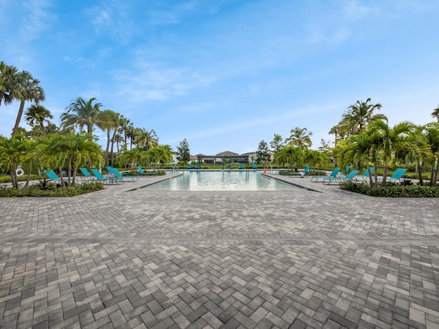 3181 Streng Ln, Royal Palm Beach, FL 33411 - community pool featuring a patio area