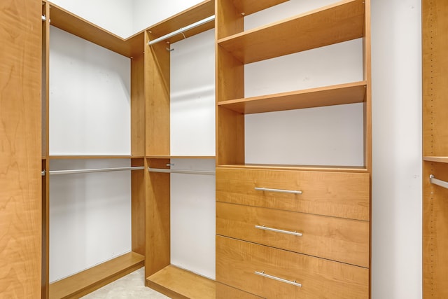9466 Lantern Bay Cir, West Palm Beach, FL 33411 - view of walk in closet