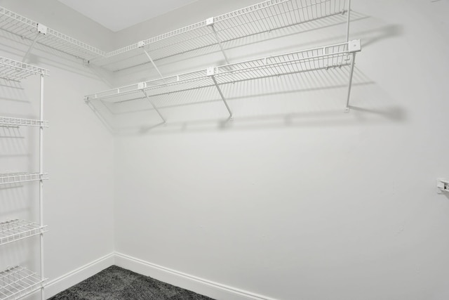 4733 NW 22nd St Unit 4283, Coconut Creek, FL 33063 - spacious closet featuring dark colored carpet