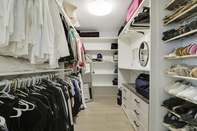 386 NE Ficus Ter, Jensen Beach, FL 34957 - spacious closet with light wood-style flooring