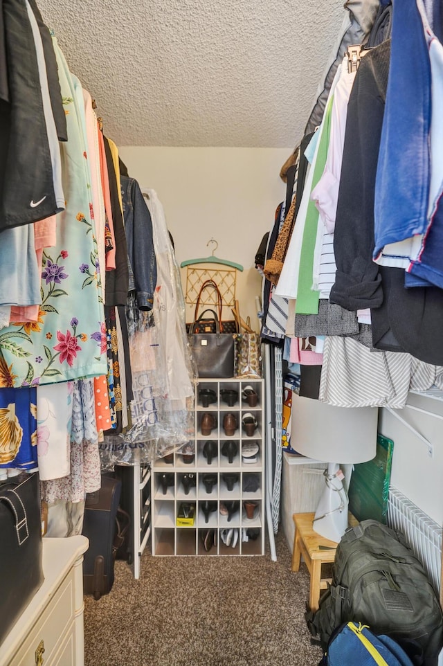 3561 Tall Pine Way Unit B-1, Greenacres, FL 33463 - walk in closet with carpet floors