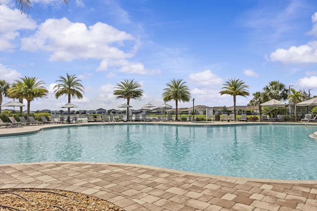 4515 San Fratello Cir, Lake Worth, FL 33467 - community pool featuring a patio