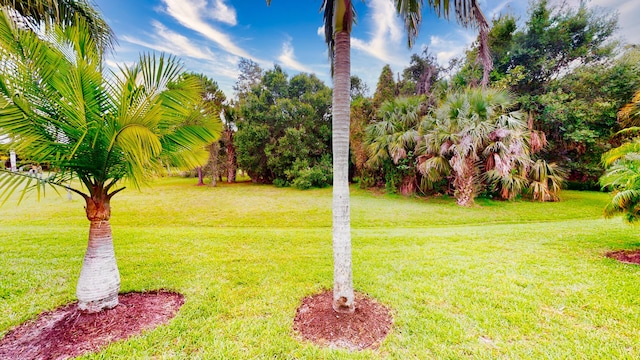 11206 SW Apple Blossom Trl, Port Saint Lucie, FL 34987 - view of grassy yard