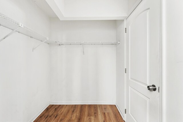 6166 Brandon St, Palm Beach Gardens, FL 33418 - spacious closet with wood finished floors