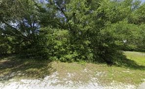 TBD 136th Ct, Dunnellon, FL 34432