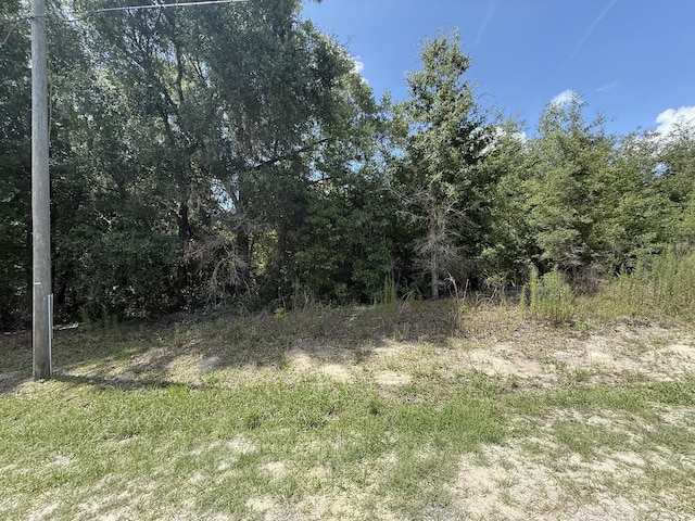 TBD 136th Ct, Dunnellon, FL 34432