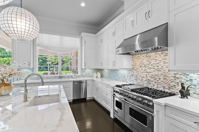 7703 Bold Lad Rd, Palm Beach Gardens, FL 33418 - kitchen featuring stainless steel appliances, exhaust hood, ornamental molding, healthy amount of natural light, and a sink