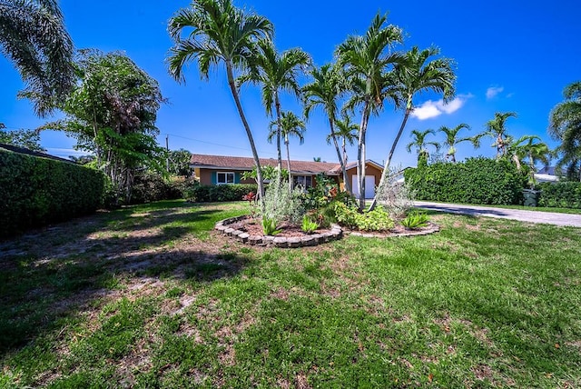 1950 N Conference Dr, Boca Raton, FL 33486 - view of green lawn