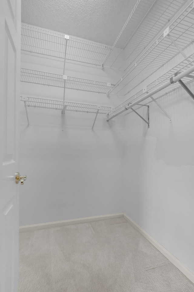 7729 Travlers Tree Dr, Boca Raton, FL 33433 - walk in closet featuring carpet