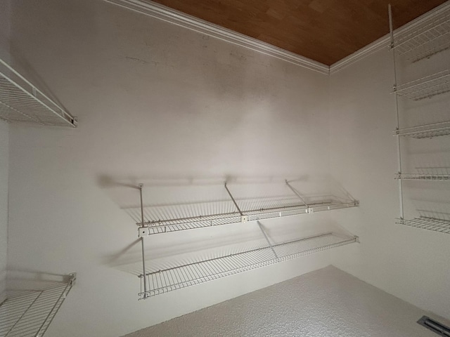 3400 NW 47th Ave Unit 3161, Coconut Creek, FL 33063 - view of walk in closet