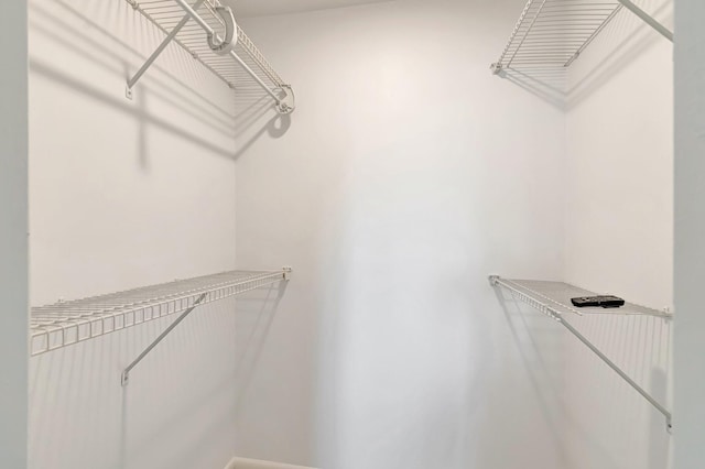 4345 Trevi Ct Unit 203, Lake Worth, FL 33467 - view of walk in closet