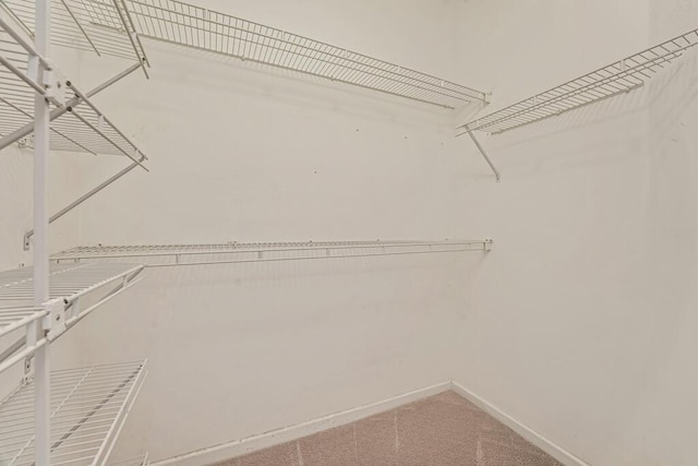 7886 Laina Ln Unit 2, Boynton Beach, FL 33437 - walk in closet with carpet flooring