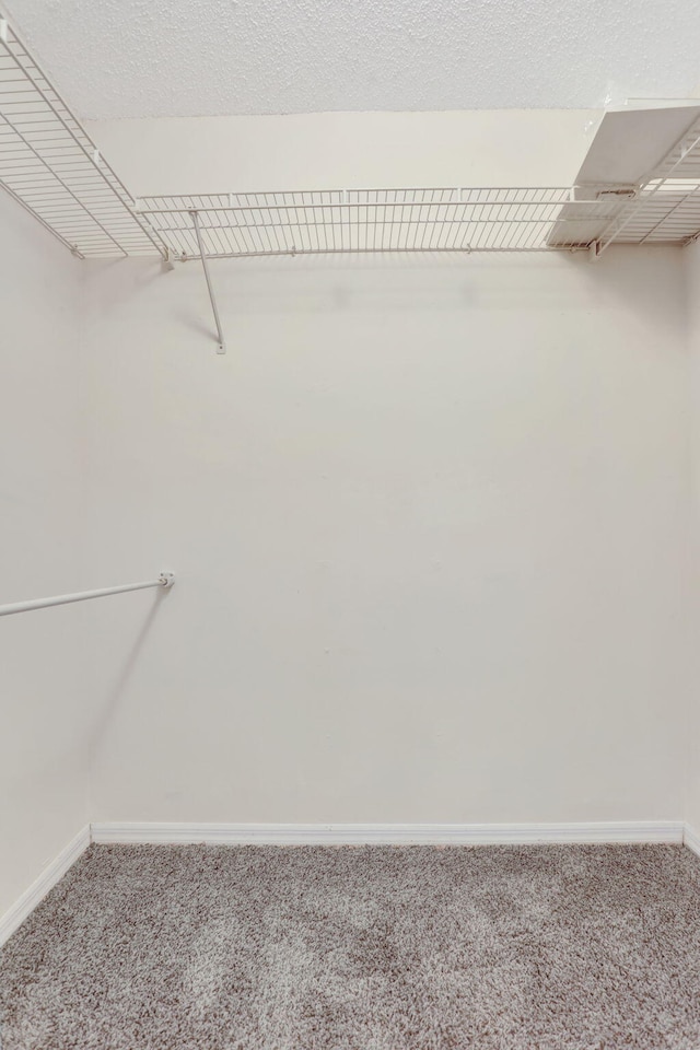 4667 SW 12th Ct, Deerfield Beach, FL 33442 - spacious closet featuring carpet floors