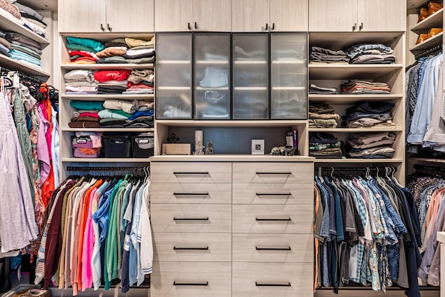 12277 Waterstone Cir, Palm Beach Gardens, FL 33412 - view of spacious closet