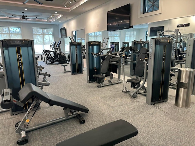 12277 Waterstone Cir, Palm Beach Gardens, FL 33412 - gym featuring carpet flooring and a ceiling fan