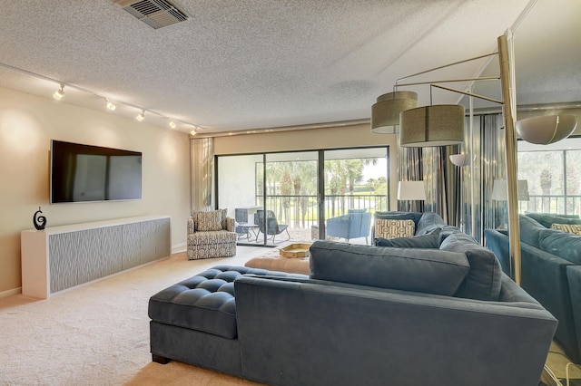 18 Westgate Ln Unit 18F, Boynton Beach, FL 33436 - living area with healthy amount of natural light, carpet floors, rail lighting, a textured ceiling, and baseboards