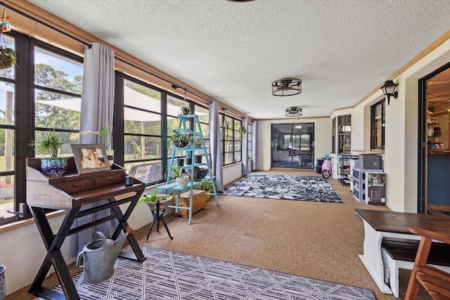 5706 Eagle Dr, Fort Pierce, FL 34950 - sunroom featuring a textured ceiling and carpet floors