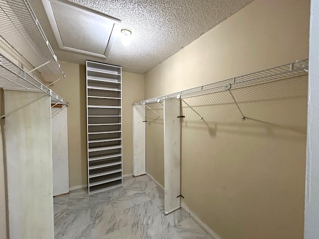 5725 Fernley Dr E Unit 71, West Palm Beach, FL 33415 - walk in closet featuring attic access and marble finish floors