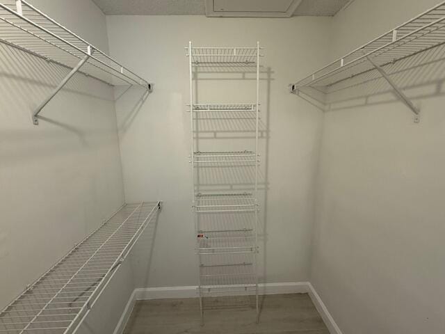 1906 Palmland Dr Unit D, Boynton Beach, FL 33436 - view of spacious closet