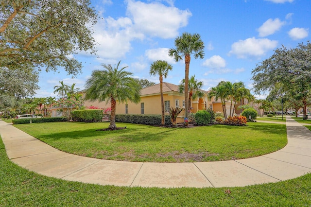 146 Magnolia Way, Tequesta, FL 33469 - view of front of house with stucco siding and a front yard
