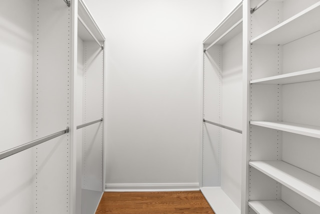 843 Niemen Dr, Palm Beach Gardens, FL 33410 - spacious closet with wood finished floors