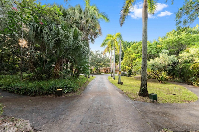 6935 Pioneer Rd, West Palm Beach, FL 33413 - view of road