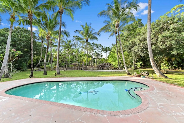 6935 Pioneer Rd, West Palm Beach, FL 33413 - outdoor pool featuring view of scattered trees and a yard