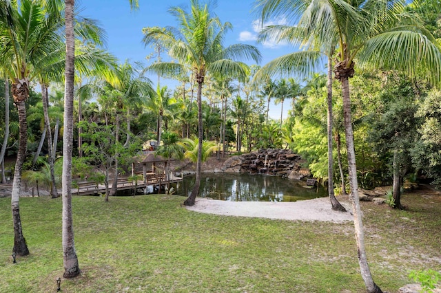 6935 Pioneer Rd, West Palm Beach, FL 33413 - view of green lawn