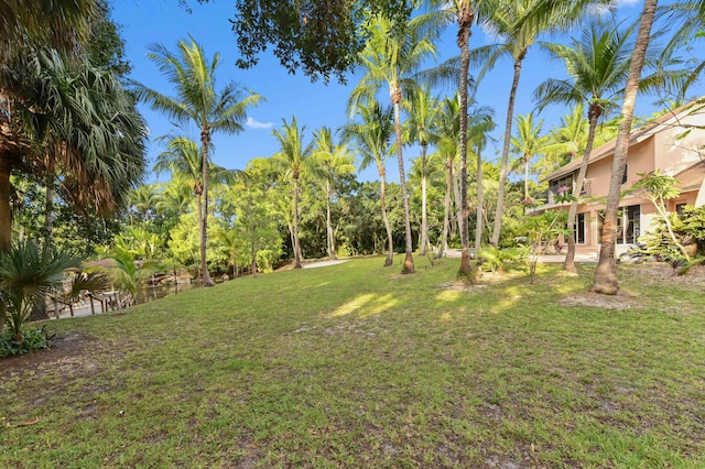 6935 Pioneer Rd, West Palm Beach, FL 33413 - view of green lawn