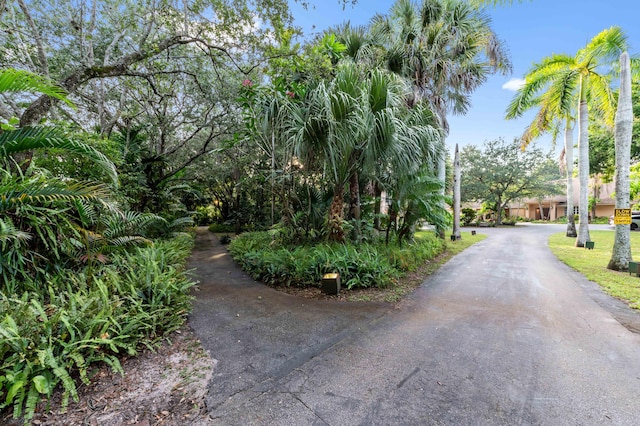 6935 Pioneer Rd, West Palm Beach, FL 33413 - view of road