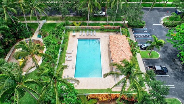 4689 Hammock Cir, Delray Beach, FL 33445 - aerial view of a pool area